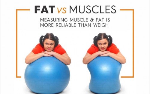 Fats Vs Muscles: Understanding the difference